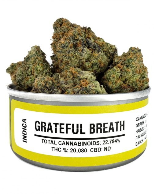 Space Monkey Meds