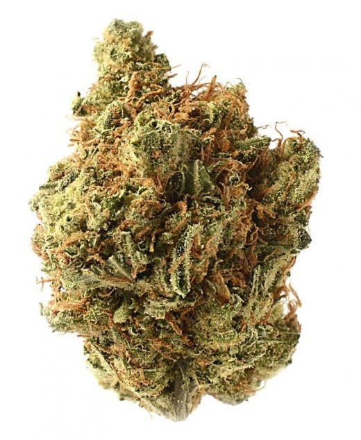 Amnesia Haze