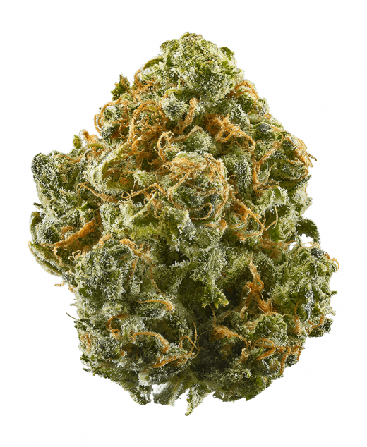 Hybrid Strains
