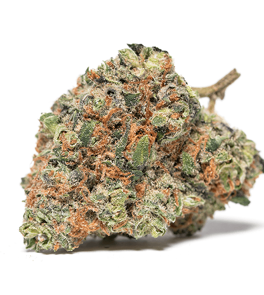 Bruce Banner