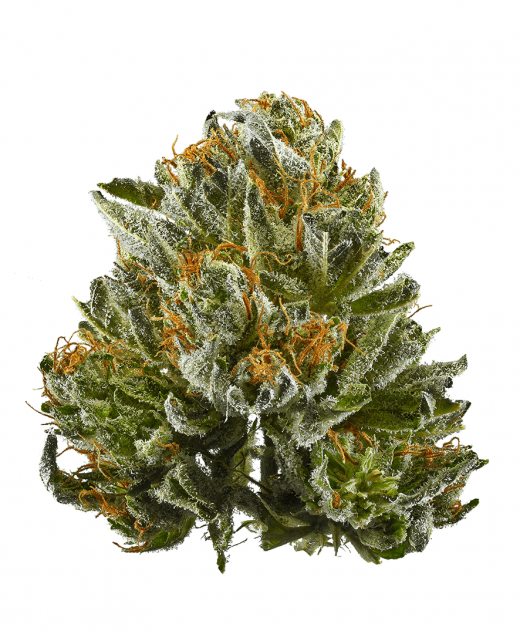 Bubba OG