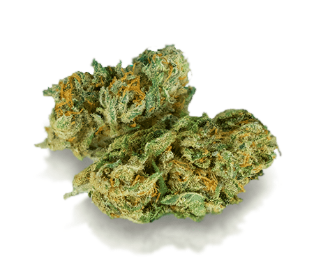 Canna-Tsu