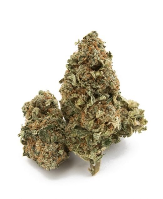 Cannatonic