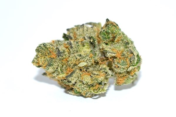 Girl Scout Cookies