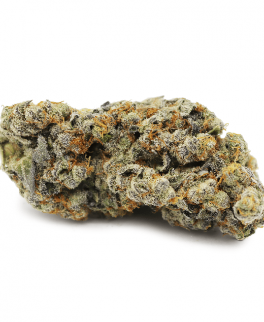 Gelato