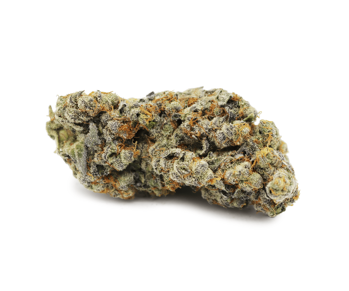 Gelato