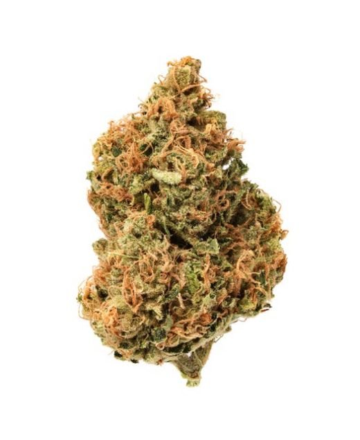 Golden Goat