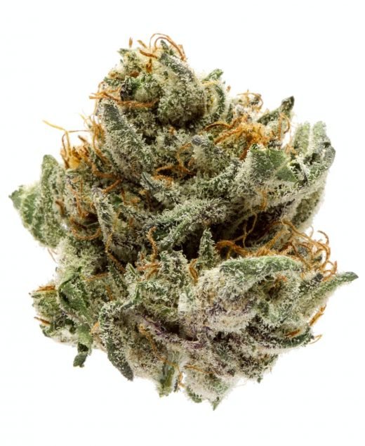 Mendocino Purps