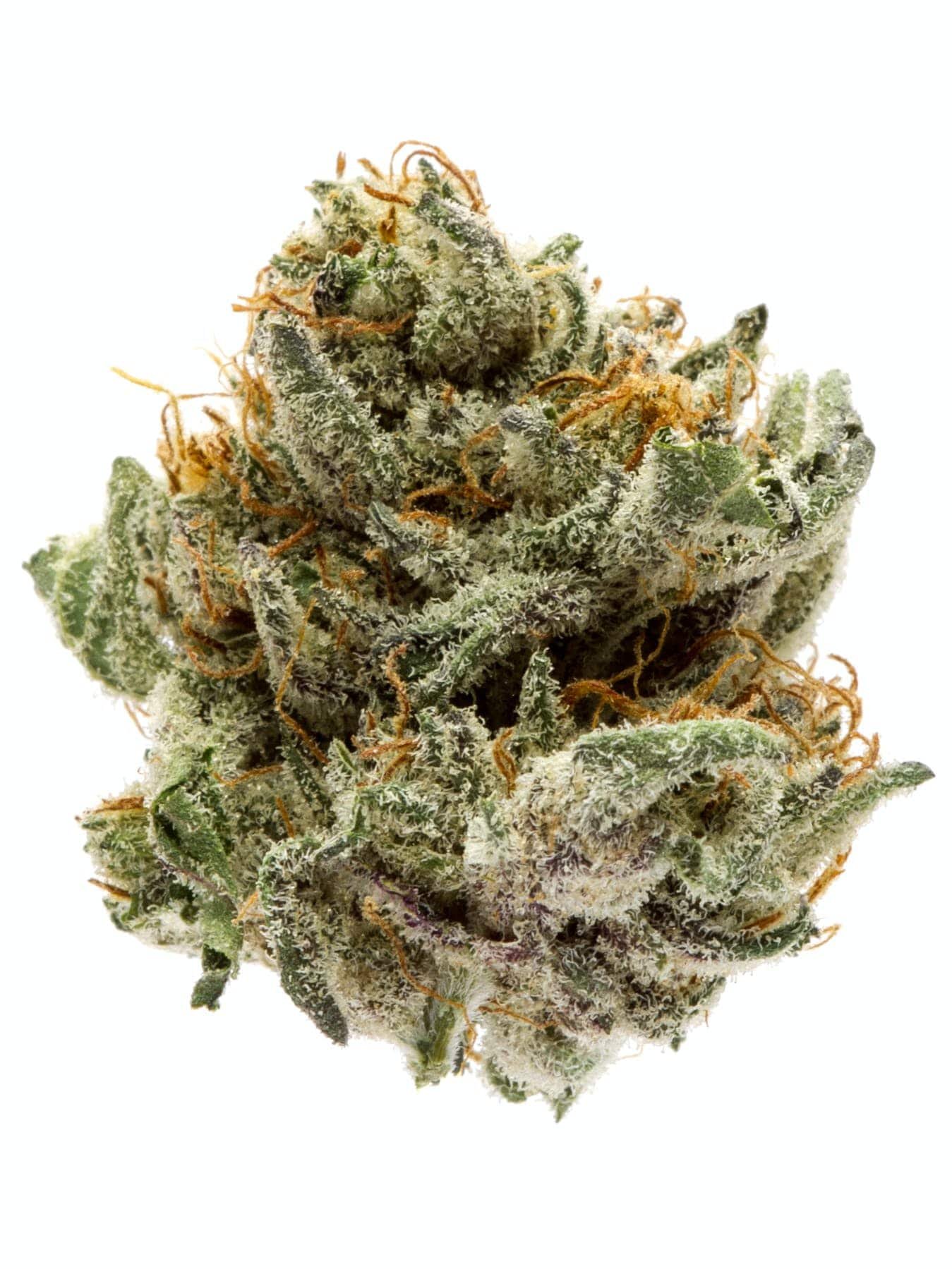 Mendocino Purps