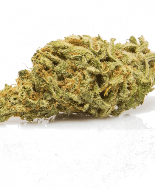 Northern Lights
