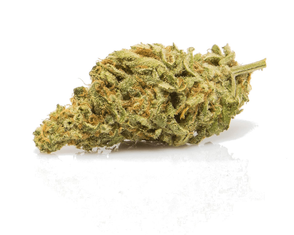 Northern Lights