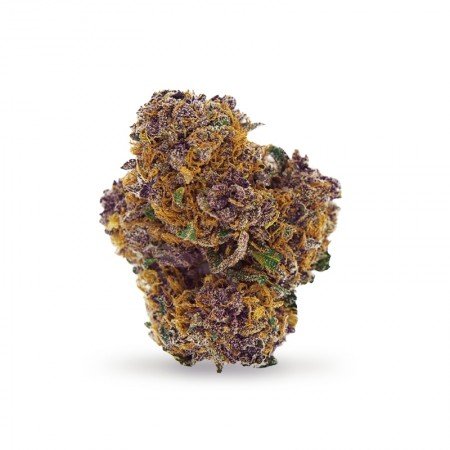 Purple Haze